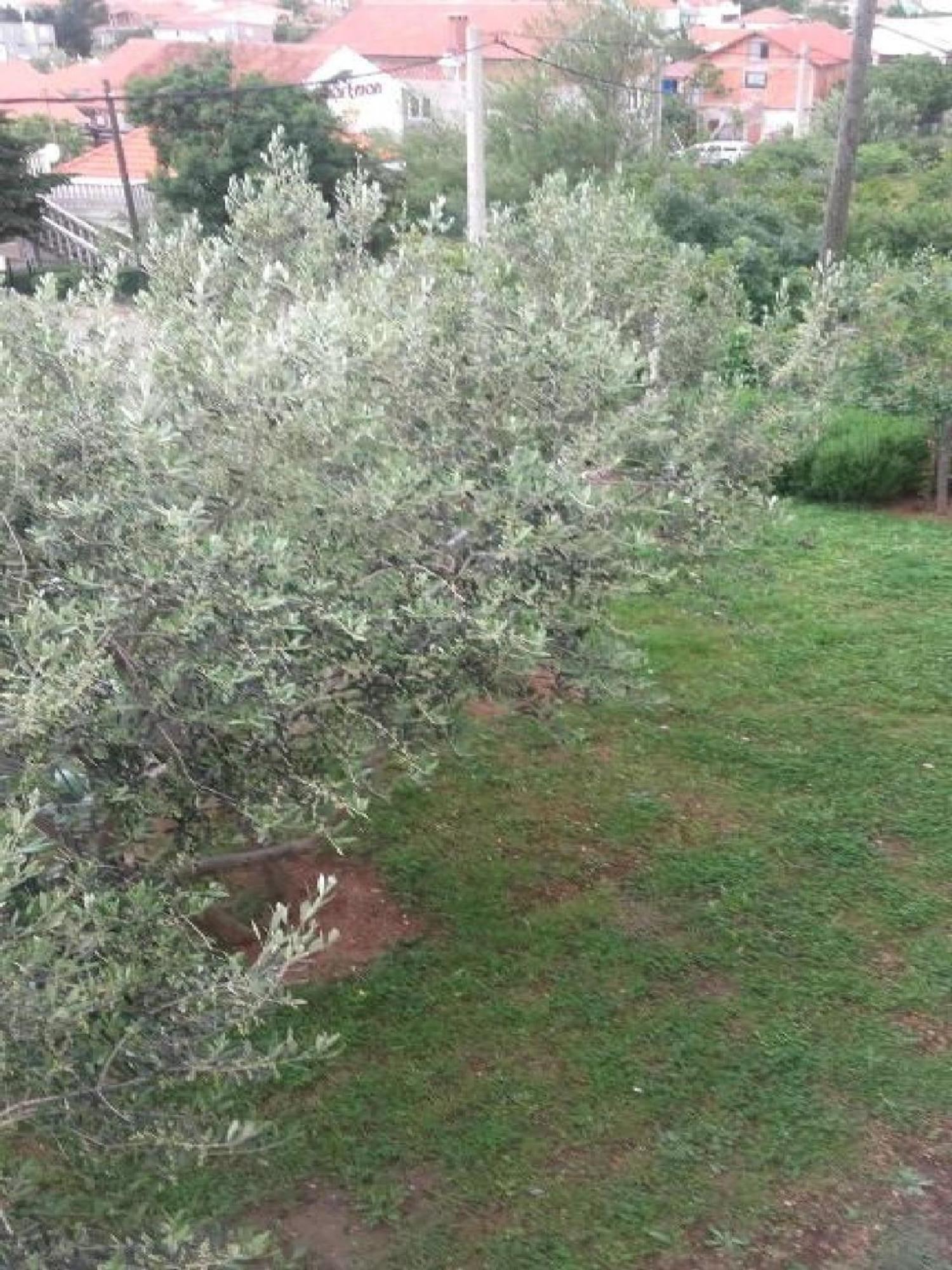 Apartments Smilje I Maslina Горни-Карин Номер фото